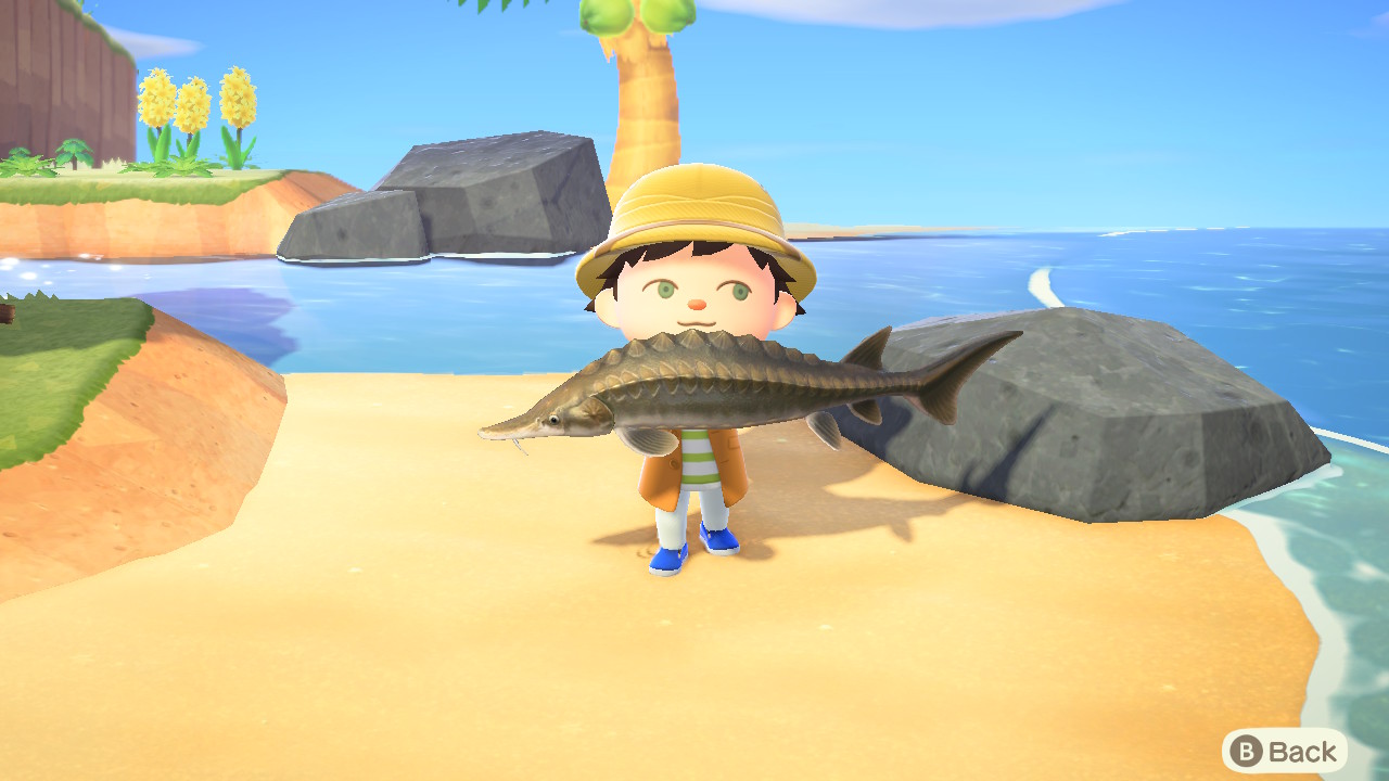 Category:New fish in Animal Crossing: New Horizons | Animal Crossing