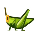 Long locust