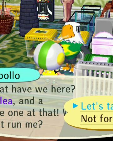 Flea Market Animal Crossing Wiki Fandom