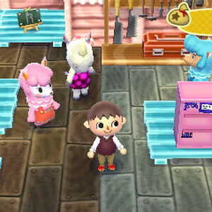 Set Etageres Animal Crossing Wiki Fandom