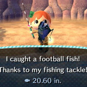 Football Fish Animal Crossing Wiki Fandom