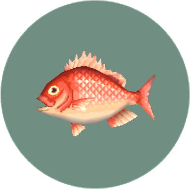 Red snapper | Animal Crossing Wiki | FANDOM powered by Wikia