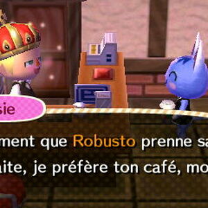 Rosie Animal Crossing Wiki Fandom
