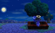 Plaza | Animal Crossing Wiki | FANDOM powered by Wikia