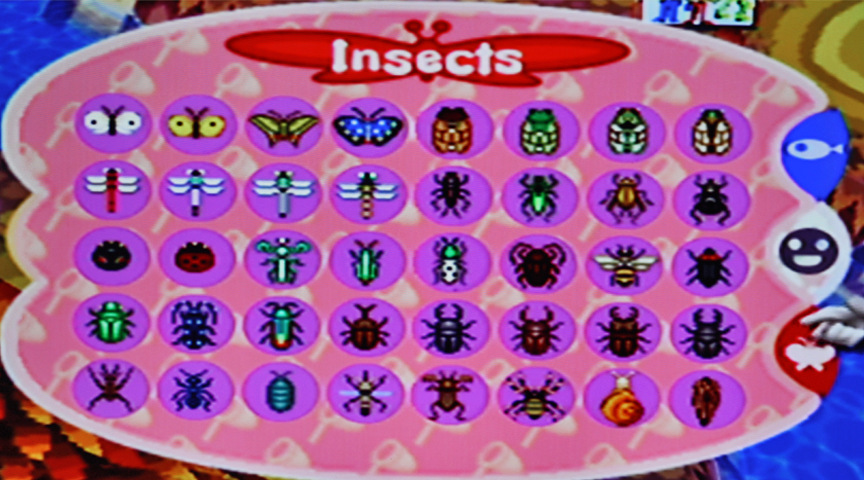 Bug | Animal Crossing Wiki | FANDOM powered by Wikia