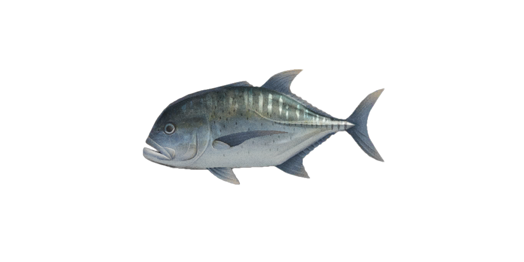 Giant trevally | Animal Crossing Wiki | Fandom