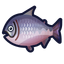 NH-Icon-kingsalmon