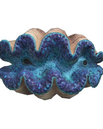 giant clam photos