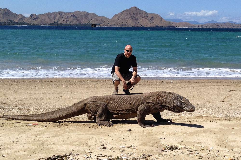 Komodo dragon