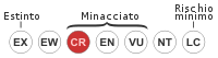 200px-Status iucn3.1 CR it.svg