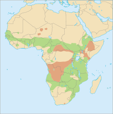 220px-Distribution P. africanus.svg