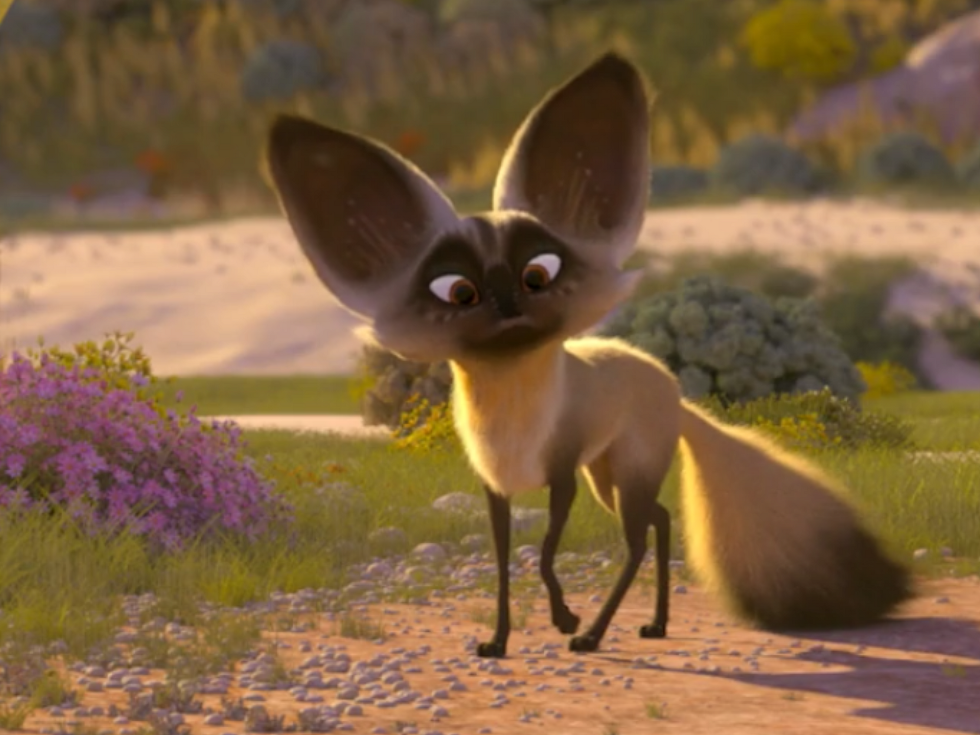 Image - Bat-eared-fox4.png | Animals Wiki | FANDOM powered by Wikia