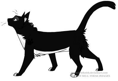 Ravenpaw