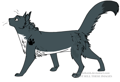 GrayPaw