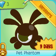 Pet Phantom | Animal Jam Wiki | FANDOM powered by Wikia