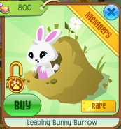 Leaping Bunny Burrow | Animal Jam Wiki | Fandom