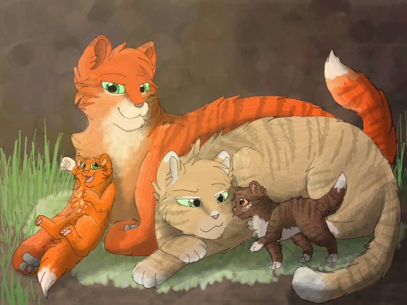 Top 10 She-Cats in Warrior Cats 