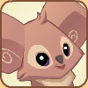 Icon Koala
