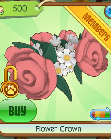 what stores sell flower crowns
