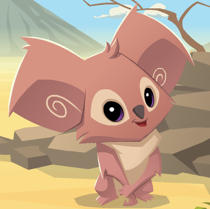 Animal jam koala alpha