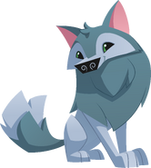 Arctic Wolf | Animal Jam Wiki | Fandom