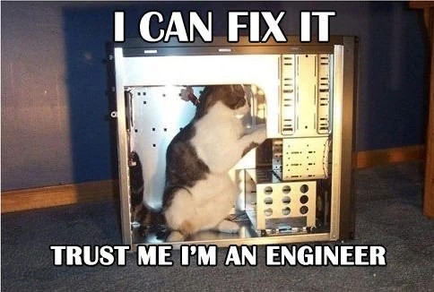 cats in the computer