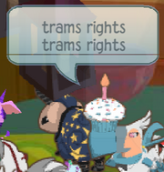 Trams rights