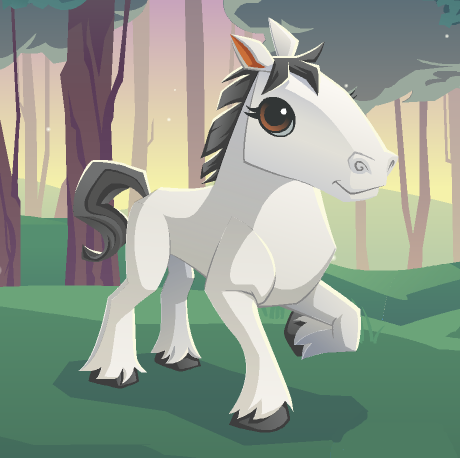 animal animal jam