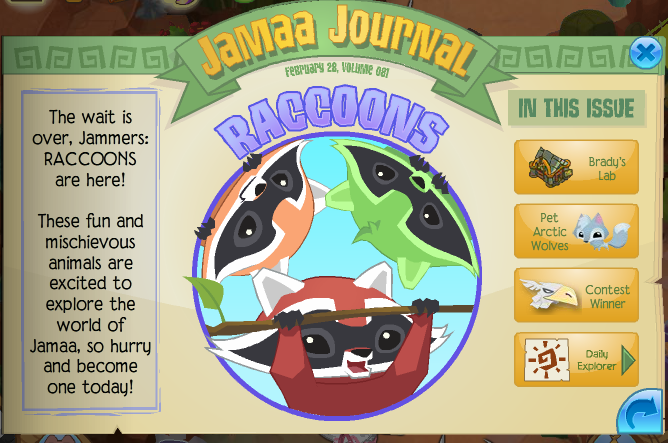 animal jam raccoons