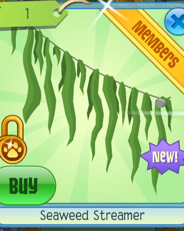 Seaweed Streamer Animal Jam Wiki Fandom