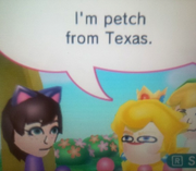 Petch from Texas