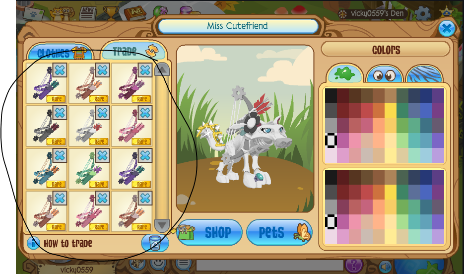 animal jam accounts with rares