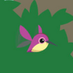 Pet Hummingbird Animal Jam Wiki Fandom