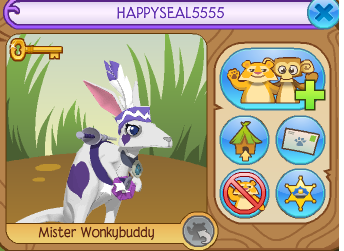 kangaroo animal jam