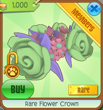 Image - Rare flower crown.png | Animal Jam Wiki | FANDOM powered ...