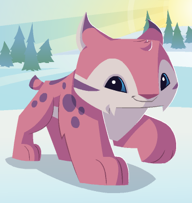 Animal jam lynx pictures