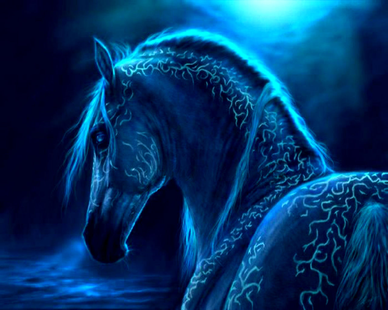 image fantasy horse blue magical free 173274 jpg animal jam wiki
