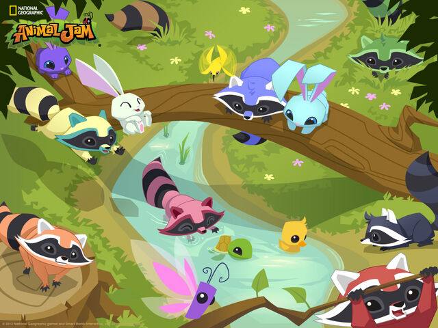 animal jam raccoons