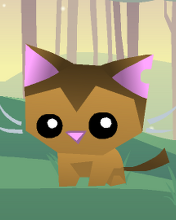 Pet Kitty Animal Jam Wiki Fandom