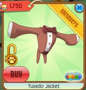 Animal Jam Item Recovery - georgiaever