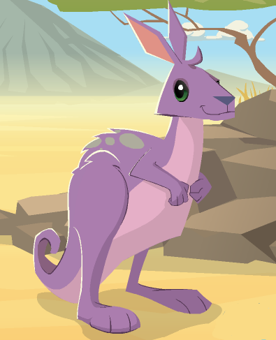 animal jam kangaroo