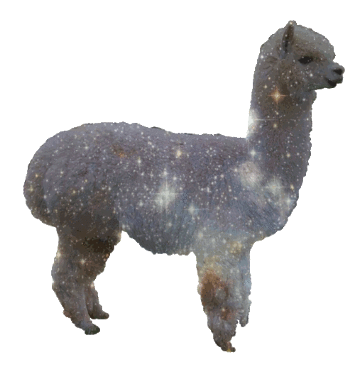 Image result for space llama gif