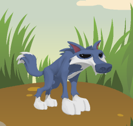 animal jam wolves