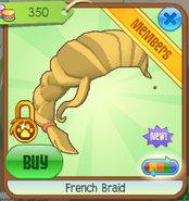 French braid 2