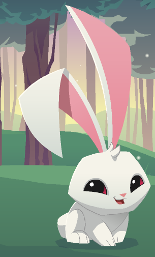 animal jam bunnies