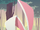 Category:Animals | Animal Jam Wiki | FANDOM powered by Wikia
