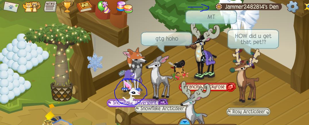 how to get a pet kangaroo on animal jam