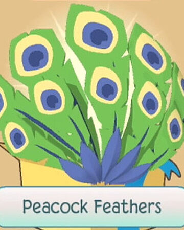 Peacock Feathers Animal Jam Wiki Fandom