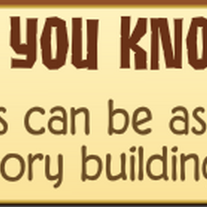 Eco Credits Animal Jam Wiki Fandom