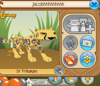 animal jam cheetahs